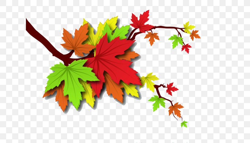 Autumn Leaf Illustration, PNG, 650x472px, Autumn, Flowering Plant, Leaf, Maple Leaf, Maple Tree Download Free