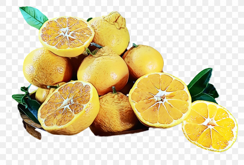 Lemon Juice, PNG, 1920x1306px, Watercolor, Bitter Orange, Citric Acid, Citron, Citrus Download Free
