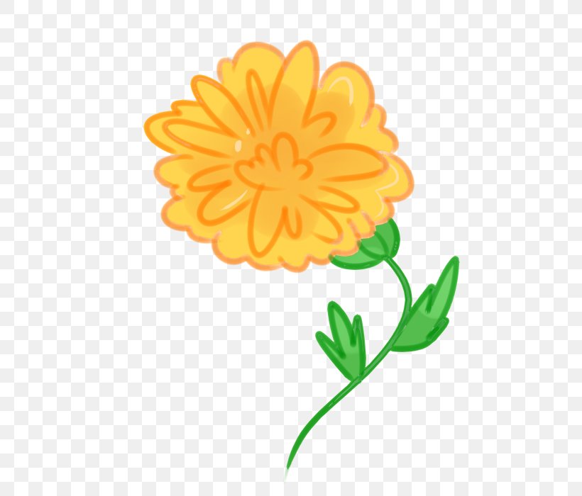 Mexican Marigold Calendula Officinalis Flower Drawing Clip Art, PNG, 500x700px, Mexican Marigold, Calendula, Calendula Officinalis, Chrysanths, Cut Flowers Download Free