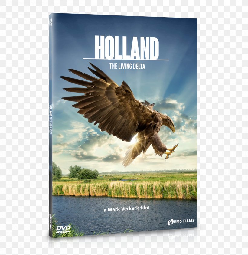 Netherlands Documentary Film Landscape Nature, PNG, 1166x1200px, Netherlands, Advertising, Beak, Bird, Bird Of Prey Download Free