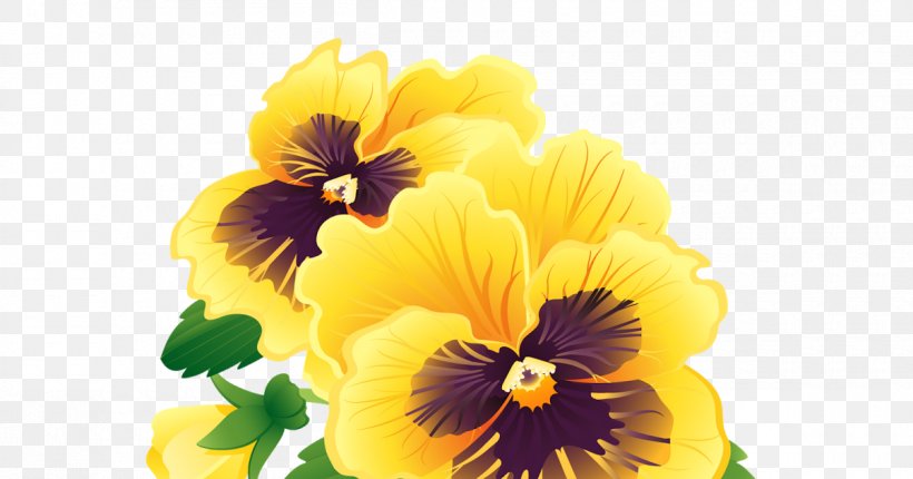 Pansy Vector Graphics Illustration Image GIF, PNG, 1200x630px, Pansy, Annual Plant, Depositphotos, Flower, Flowering Plant Download Free