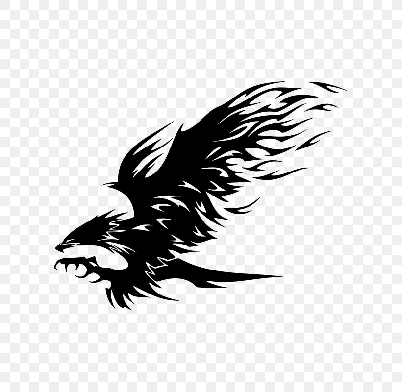 Bald Eagle Tribe Tattoo, PNG, 800x800px, Eagle, Art, Bald Eagle, Beak, Bird Download Free