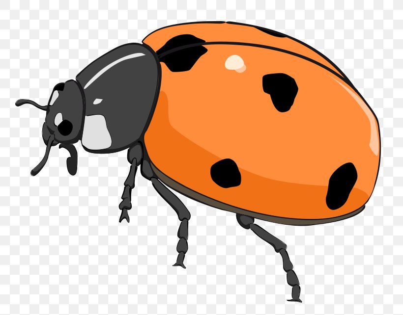 Beetle Ladybird Free Content Clip Art, PNG, 800x642px, Beetle, Arthropod, Artwork, Blog, Cartoon Download Free