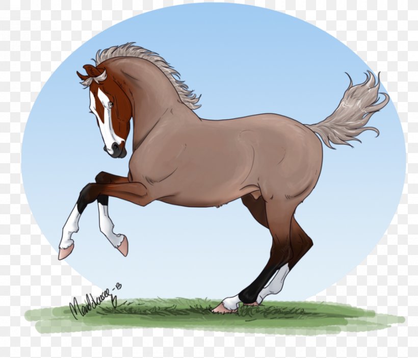 Mane Foal Mustang Mare Stallion, PNG, 900x771px, Mane, Bridle, Cartoon, Colt, English Riding Download Free