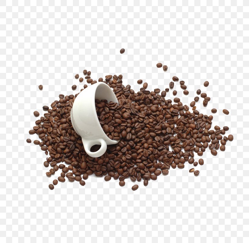 Coffee Bean Tea Chocolate Milk Coffee Cup, PNG, 800x800px, Coffee, Arabica Coffee, Bean, Chocolate Milk, Coffee Bean Download Free