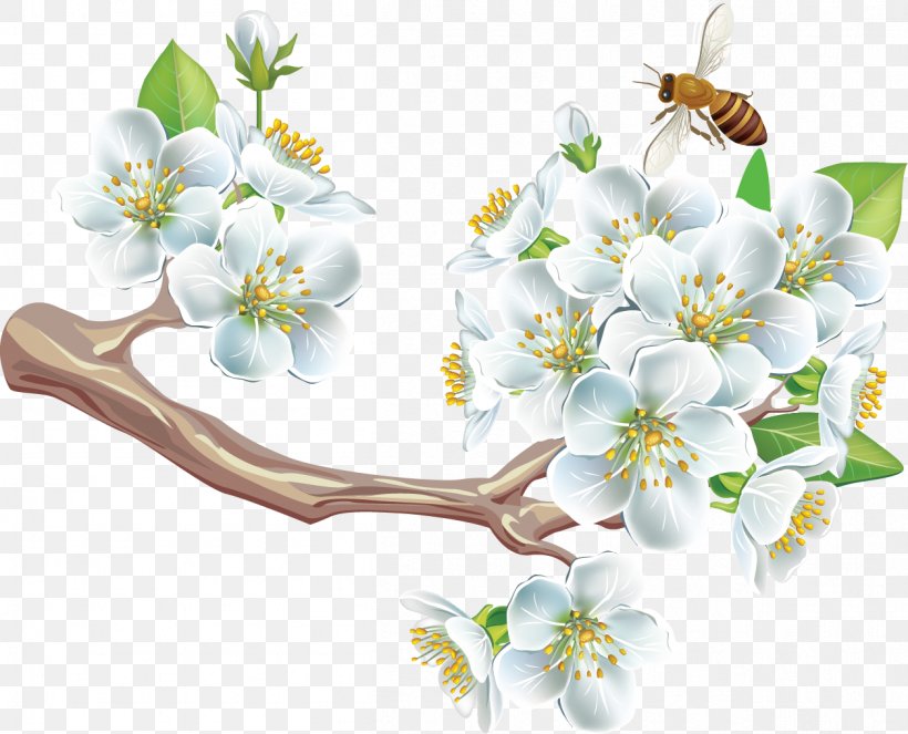 Spring Flower Adobe Acrobat Clip Art, PNG, 1256x1017px, Spring, Adobe Acrobat, Blossom, Branch, Cherry Blossom Download Free