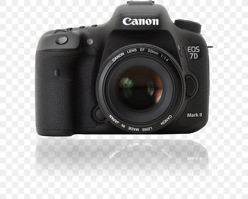 Canon EOS 7D Mark II Canon EOS 5D Mark III Canon EF Lens Mount, PNG, 590x657px, Canon Eos 7d Mark Ii, Active Pixel Sensor, Camera, Camera Accessory, Camera Lens Download Free
