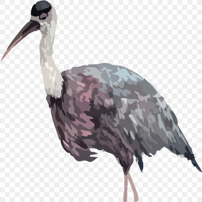 Common Ostrich Bird Euclidean Vector, PNG, 1004x1004px, Common Ostrich, Beak, Bird, Crane, Crane Like Bird Download Free