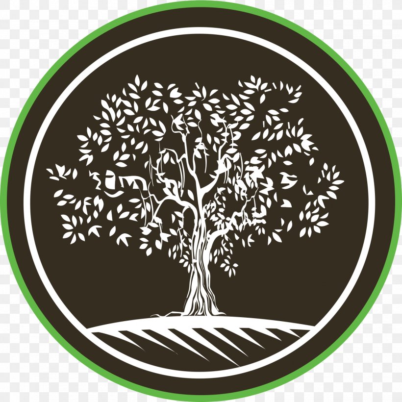 Drumstick Tree Logo Plant Vitamin A, PNG, 1516x1516px, Drumstick Tree, Aliravitsemus, Ascorbic Acid, Branch, Dietary Supplement Download Free