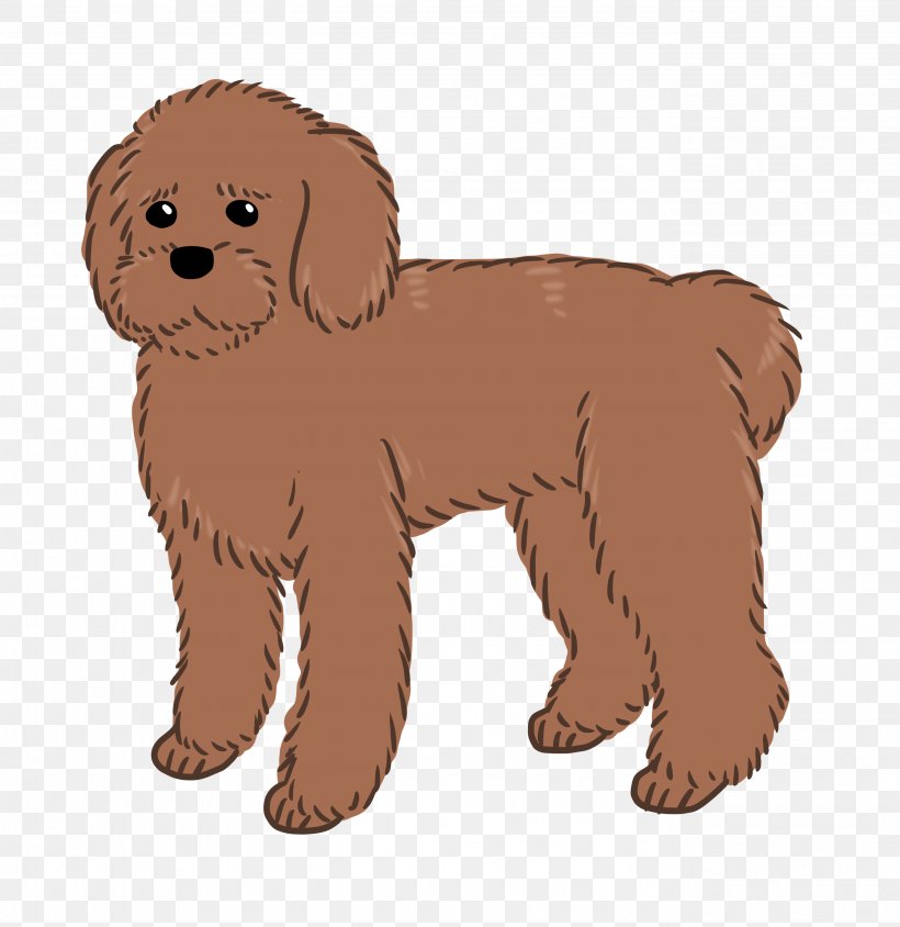 Goldendoodle Schnoodle Puppy Dog Breed Companion Dog, PNG, 2756x2839px, Goldendoodle, Breed, Carnivoran, Companion Dog, Dog Download Free
