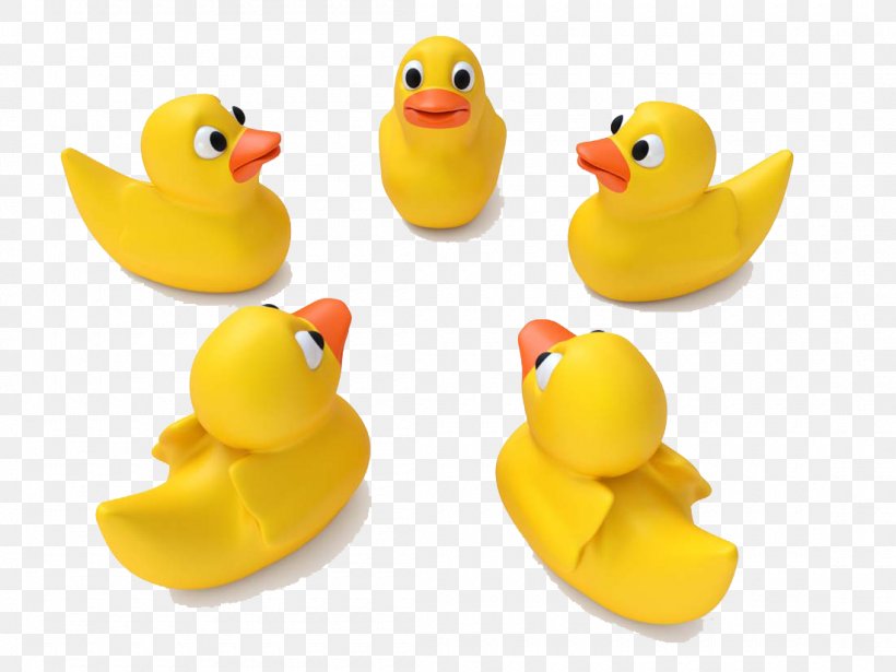 Little Yellow Duck Project Rubber Duck, PNG, 1100x825px, Duck, Beak, Bird, Ducks Geese And Swans, Little Yellow Duck Project Download Free