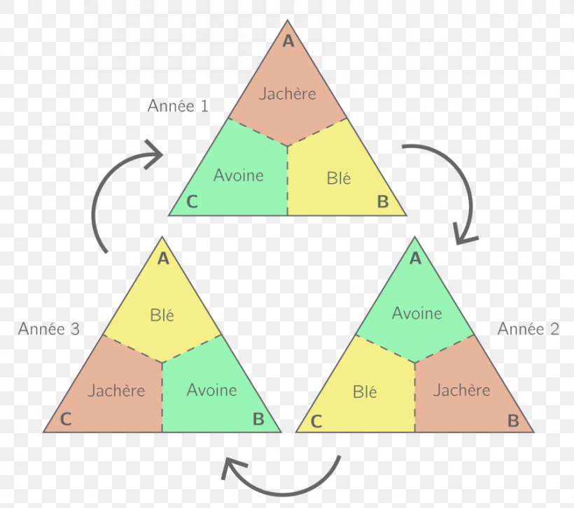 Middle Ages Succession Planting Three-field System Agriculture Industrial Revolution, PNG, 901x799px, 13th Century, Middle Ages, Agriculture, Area, Diagram Download Free