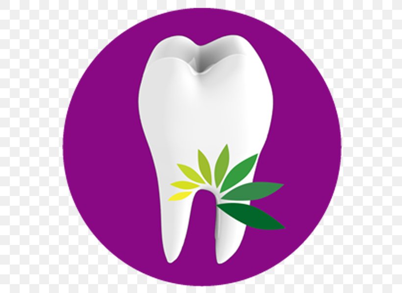 Smile Al Reem Dental Center Halarewards.Com Reem Drive Al Hilali Clinic, PNG, 598x598px, Watercolor, Cartoon, Flower, Frame, Heart Download Free