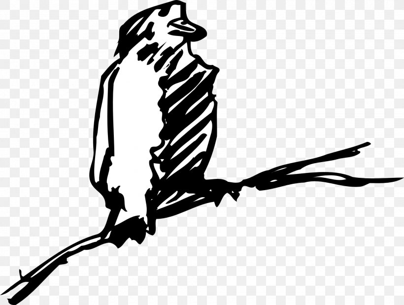 Bird Beak Clip Art, PNG, 1920x1451px, Bird, Beak, Bird Of Prey, Black, Black And White Download Free