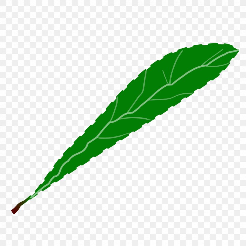 Leaf Green Petal Clip Art, PNG, 2400x2400px, Leaf, Branch, Flower, Grass, Green Download Free