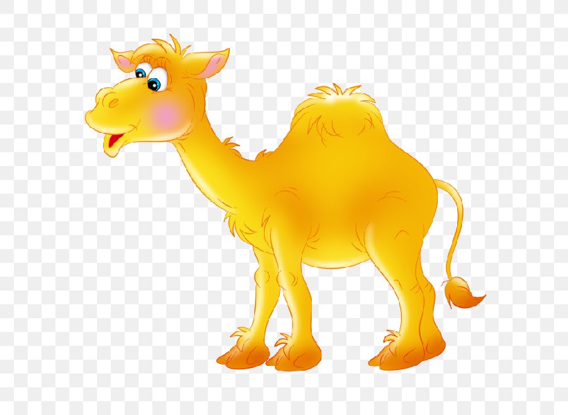Camel Llama Clip Art, PNG, 600x600px, Camel, Animal Figure, Arabian Camel, Blog, Camel Like Mammal Download Free