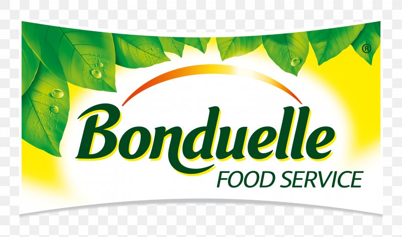 Logo Banner Brand Foodservice Bonduelle, PNG, 3249x1918px, Logo, Advertising, Banner, Bonduelle, Brand Download Free