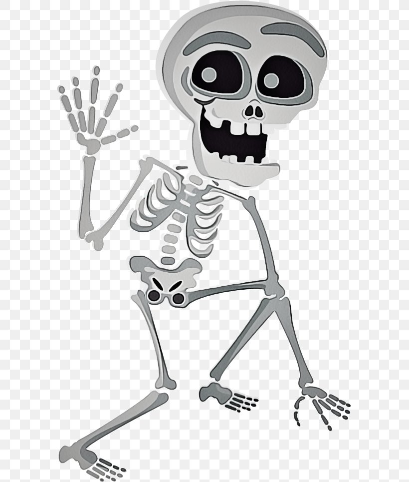Skeleton Bone Clip Art, PNG, 591x965px, Skeleton, Bone Download Free
