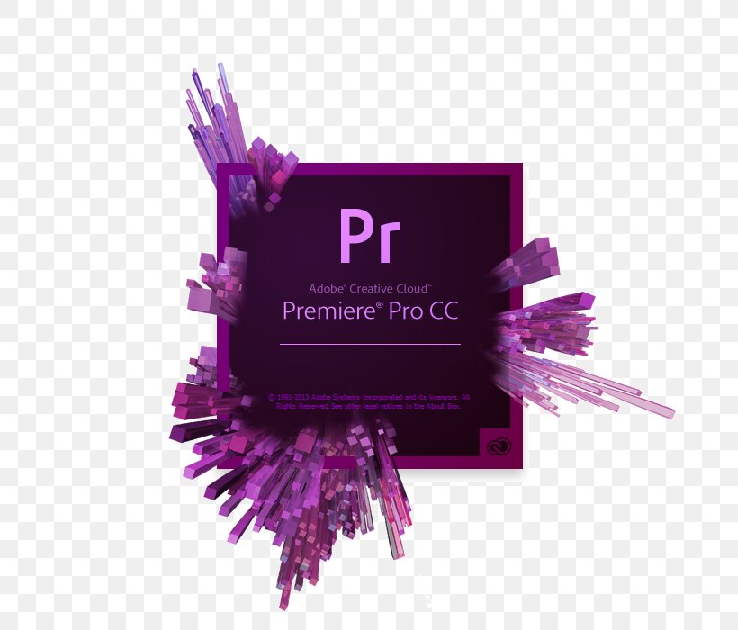 Adobe Creative Cloud Adobe Premiere Pro Adobe Creative Suite Adobe Systems Computer Software, PNG, 700x700px, Adobe Creative Cloud, Adobe Acrobat, Adobe Creative Suite, Adobe Indesign, Adobe Premiere Pro Download Free