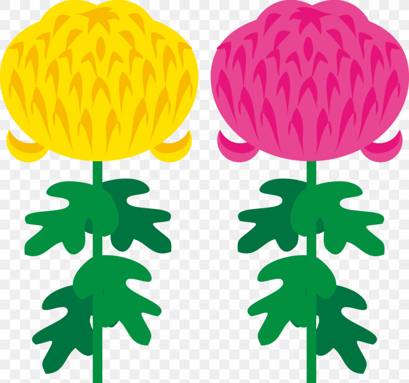 Chrysanthemum Chrysanths, PNG, 1068x1000px, Chrysanthemum, Biology, Chrysanths, Green, Leaf Download Free