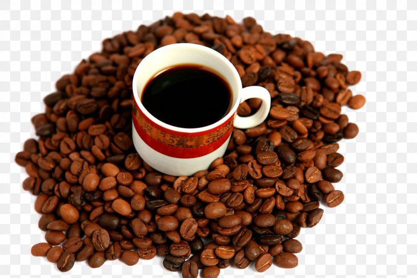 Jamaican Blue Mountain Coffee Espresso Tea Kona Coffee, PNG, 1024x683px, Coffee, Bean, Black Drink, Caffeine, Cocoa Bean Download Free