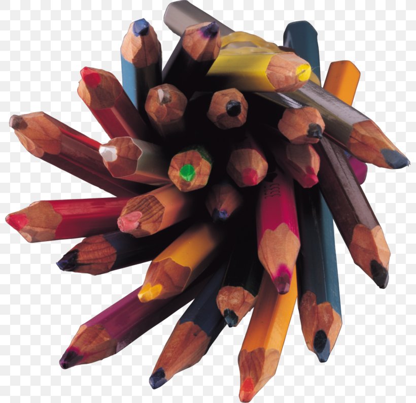 Kozelsk Colored Pencil Clip Art, PNG, 800x794px, Kozelsk, Art, Colored Pencil, Drawing, Paintbrush Download Free