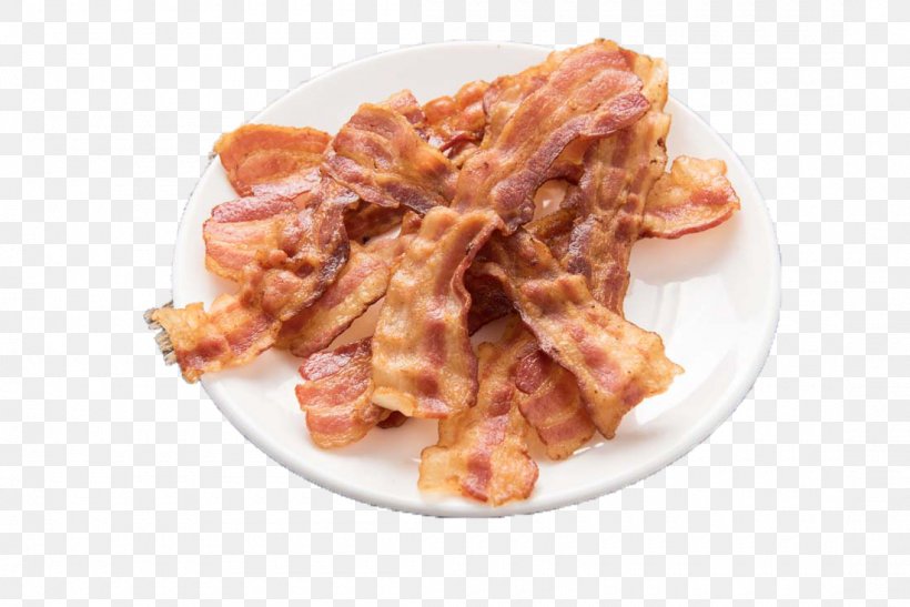 Sausage 101 More Things To Do With Bacon Chicken Fried Bacon German Cuisine, PNG, 1100x734px, Sausage, Animal Source Foods, Back Bacon, Bacon, Chicken Fried Bacon Download Free