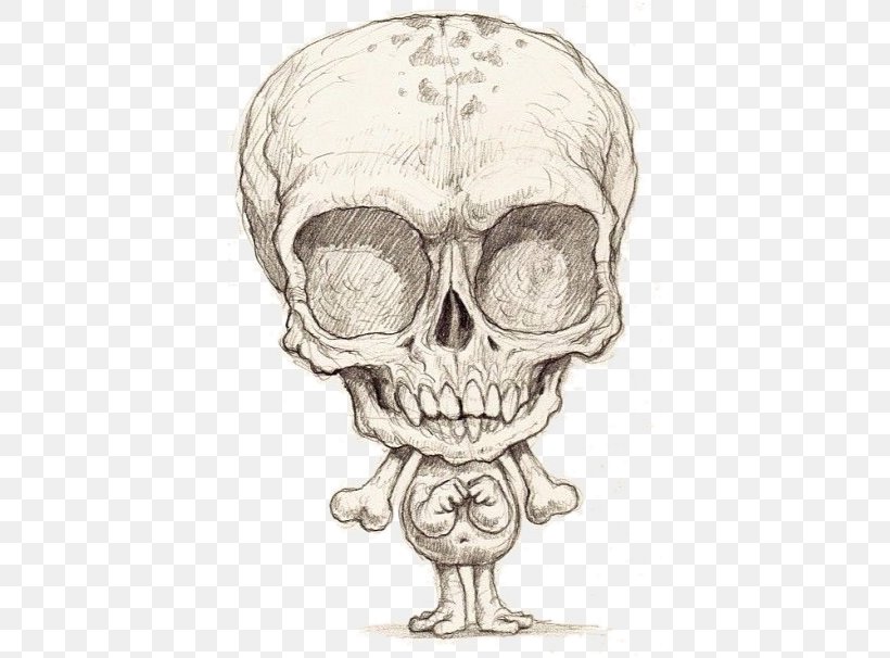 Skull Skeleton Jaw Sketch, PNG, 606x606px, Watercolor, Cartoon, Flower, Frame, Heart Download Free