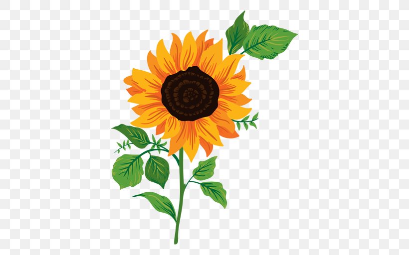 Common Sunflower Drawing, PNG, 512x512px, Common Sunflower, Animation ...