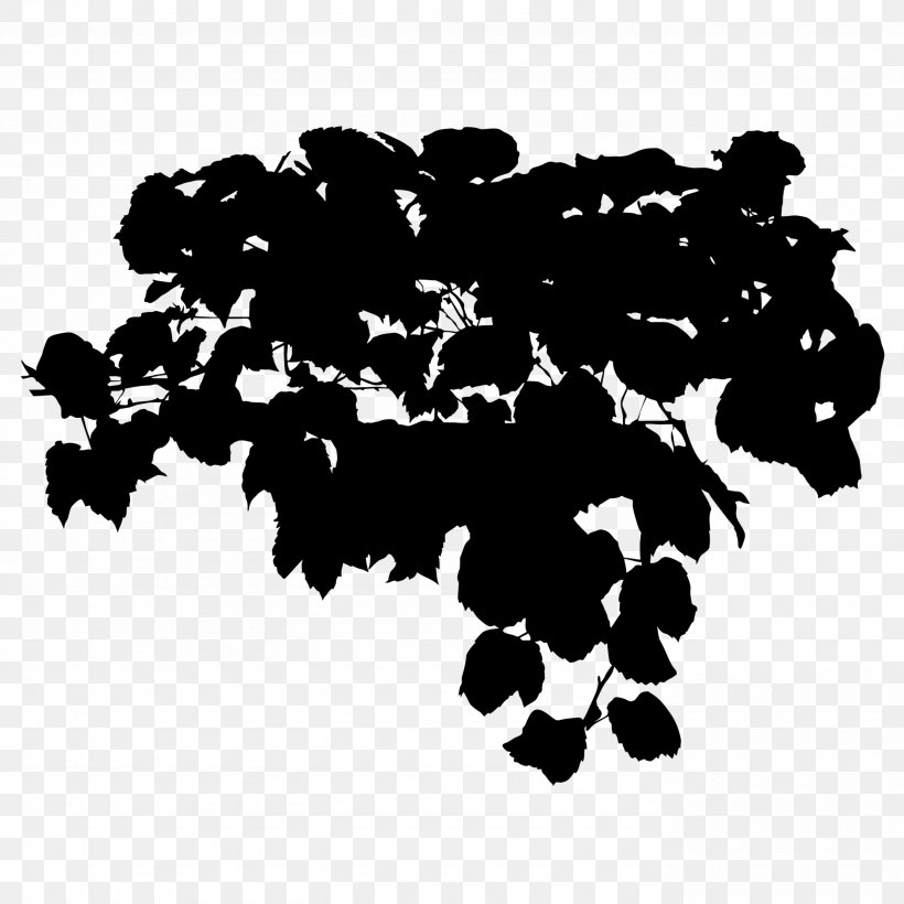 Grape Black & White, PNG, 2765x2765px, Grape, Black White M, Blackandwhite, Flower, Leaf Download Free