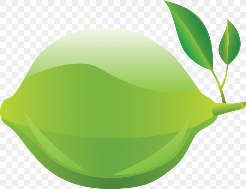 Green Leaf Logo, PNG, 5467x4201px, Lime, Fruit, Green, Key Lime, Leaf Download Free