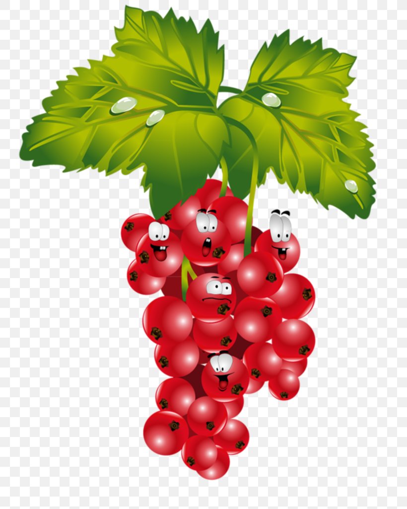 Redcurrant Strawberry Fruit Verse, PNG, 800x1025px, Redcurrant, Banana, Berry, Bilberry, Cherry Download Free