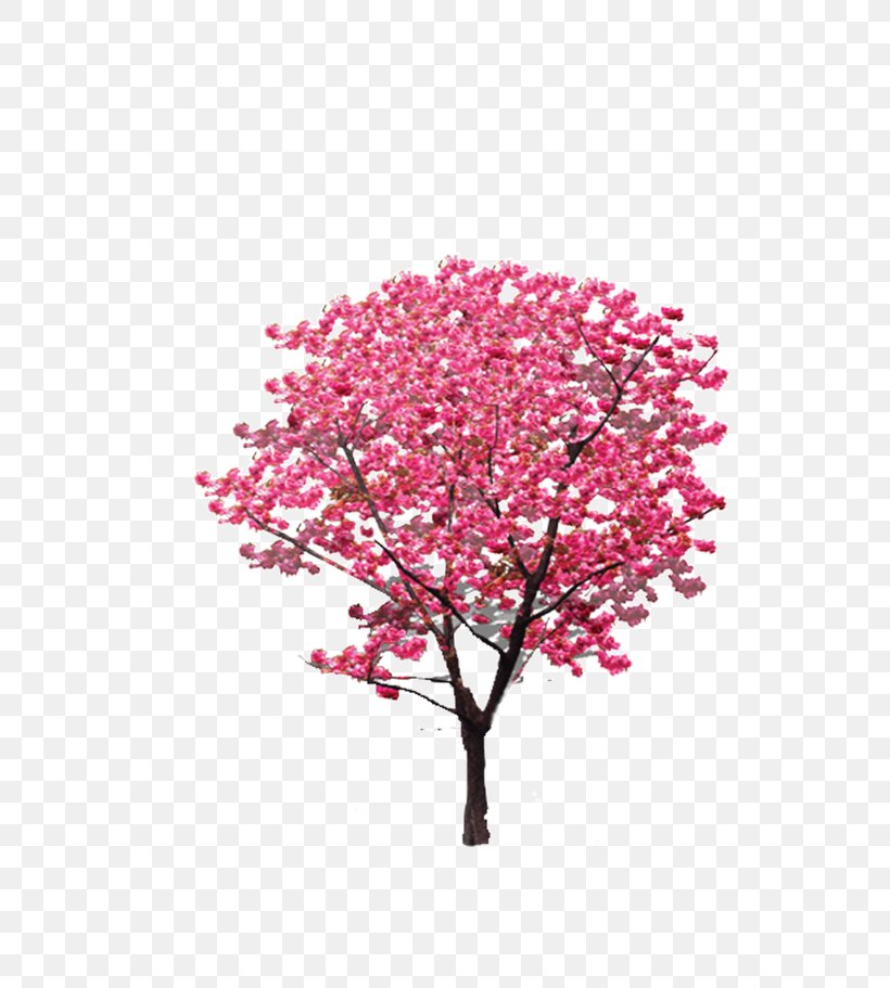 Tree Pink Twig Icon, PNG, 650x911px, Tree, Blossom, Branch, Cherry, Cherry Blossom Download Free