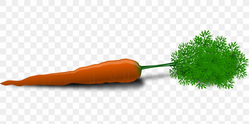 Carrot Vegetable Clip Art, PNG, 1920x960px, Carrot, Beetroot, Carrot And Stick, Daucus Carota, Food Download Free