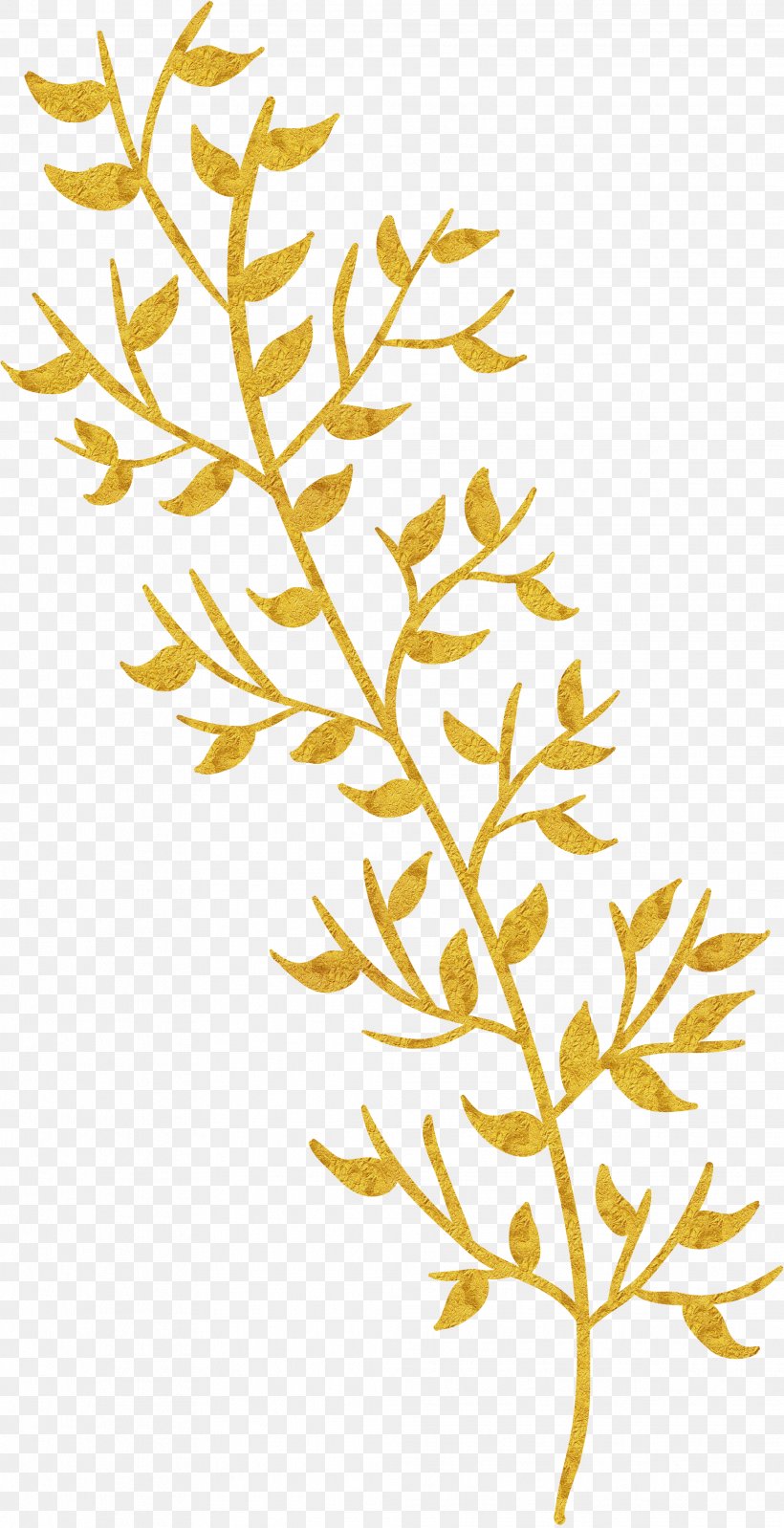 Leaf Gratis Download, PNG, 2029x3956px, Leaf, Branch, Commodity, Flora, Floral Design Download Free