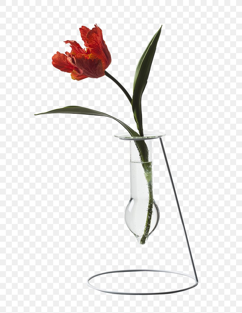 Lily Flower Cartoon, PNG, 709x1062px, Floral Design, Anthurium, Cut Flowers, Fire Lily, Flower Download Free
