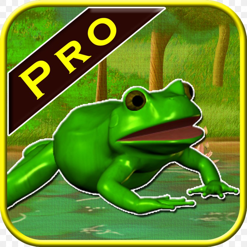 True Frog Tree Frog Toad, PNG, 1024x1024px, True Frog, Amphibian, Animated Cartoon, Fauna, Frog Download Free