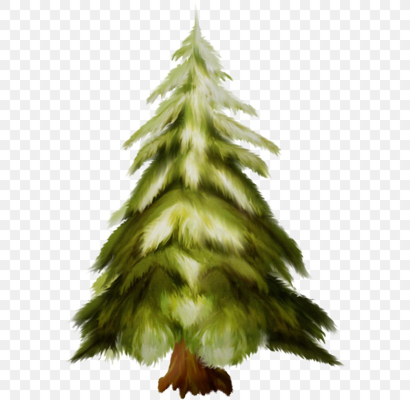 Christmas Tree, PNG, 572x800px, White Pine, American Larch, Christmas Tree, Evergreen, Leaf Download Free