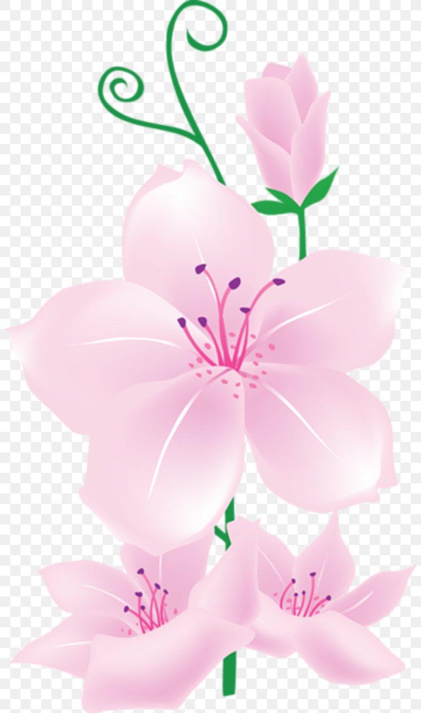 Clip Art Pink Flowers Image Floral Design, PNG, 800x1387px, Pink Flowers, Art, Flora, Floral Design, Flower Download Free