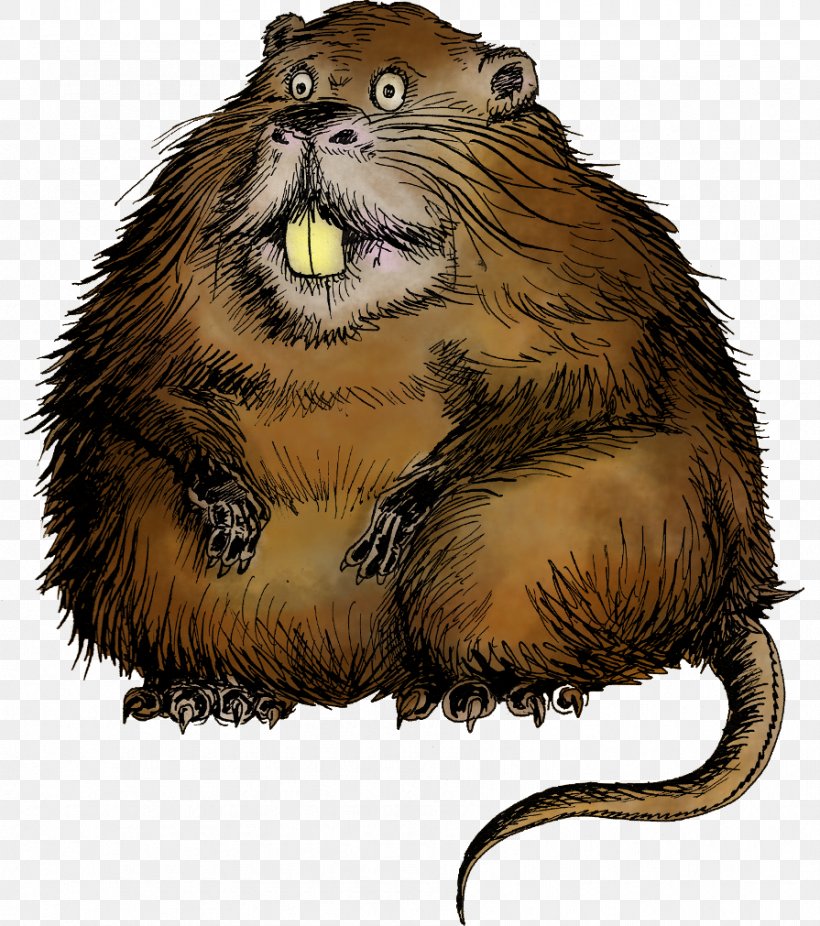 Coypu Rodent Beaver Animal, PNG, 895x1011px, Coypu, Animal, Beaver, Carnivoran, Color Download Free