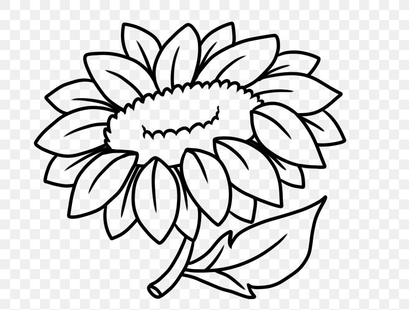 Floral Design Line Art Drawing Cut Flowers, PNG, 704x622px, Floral Design, Art, Artwork, Black, Black And White Download Free