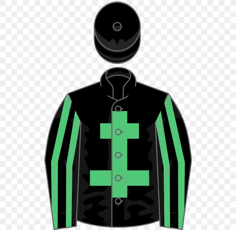 Green Sleeve Symbol, PNG, 512x799px, Green, Brand, Jacket, Neck, Outerwear Download Free