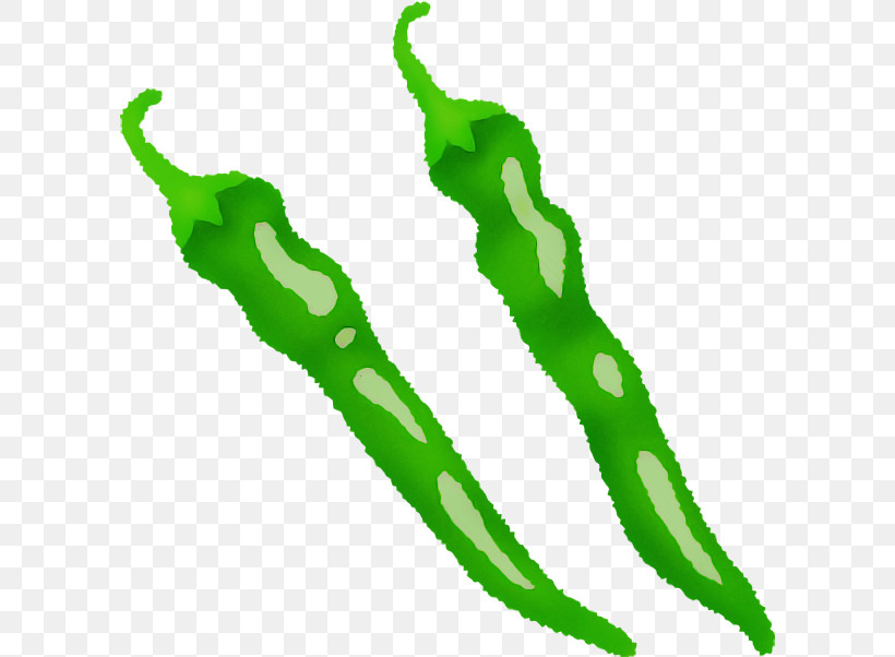 Serrano Pepper Pasilla Cayenne Pepper Chili Pepper Green, PNG, 600x602px, Serrano Pepper, Bell Pepper, Cayenne Pepper, Chili Pepper, Green Download Free