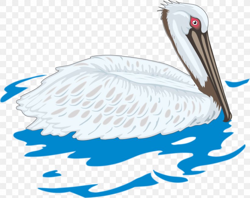 Cygnini Bird Clip Art, PNG, 1091x864px, Cygnini, Beak, Bird, Drawing, Ducks Geese And Swans Download Free