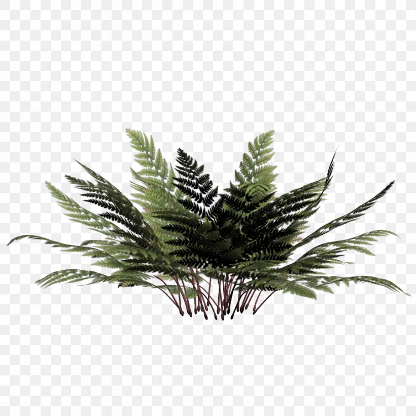 Download, PNG, 900x900px, 3d Computer Graphics, Plant, Flowerpot, Grass, Information Download Free