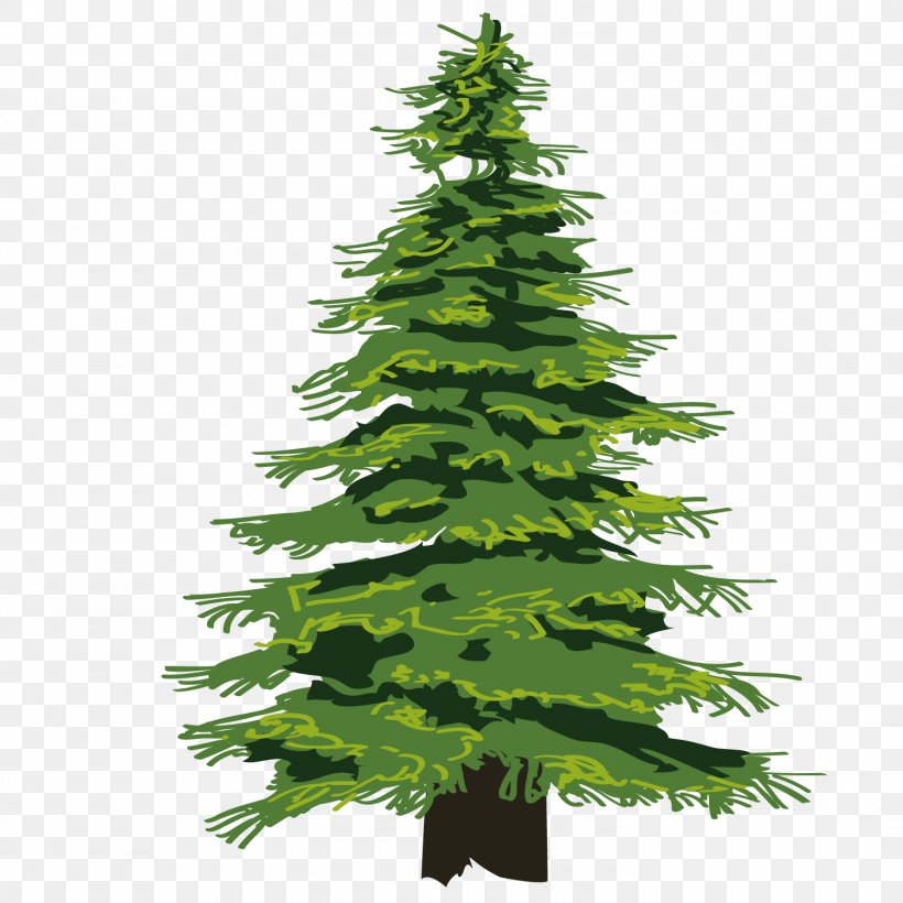 Evergreen Tree Pine Drawing Clip Art, PNG, 1500x1501px, Evergreen, Branch, Christmas Decoration, Christmas Ornament, Christmas Tree Download Free