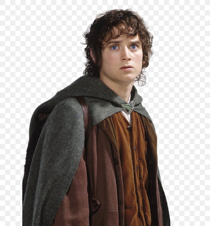 Frodo Baggins The Lord Of The Rings: The Fellowship Of The Ring Gandalf, PNG, 645x879px, Frodo Baggins, Coat, Display Resolution, Film, Fur Download Free