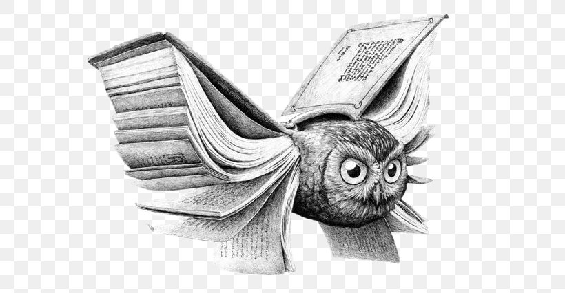 Owl Drawing Book Art Illustration, PNG, 600x426px, Owl, Art, Artist, Artists Book, Bat Download Free
