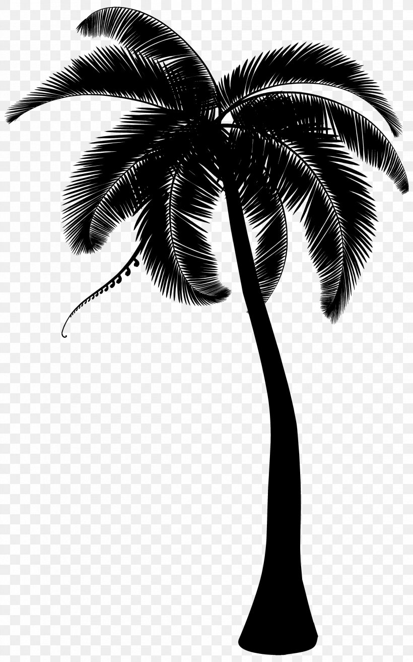 Palm Trees Coconut Clip Art, PNG, 2497x4000px, Palm Trees, Arecales, Attalea Speciosa, Blackandwhite, Botany Download Free