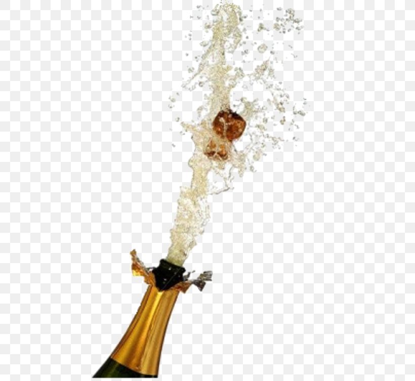 Word Champagne Meaning, PNG, 480x753px, Word, Austral Pacific Energy Png Limited, Champagne, Idea, Index Term Download Free